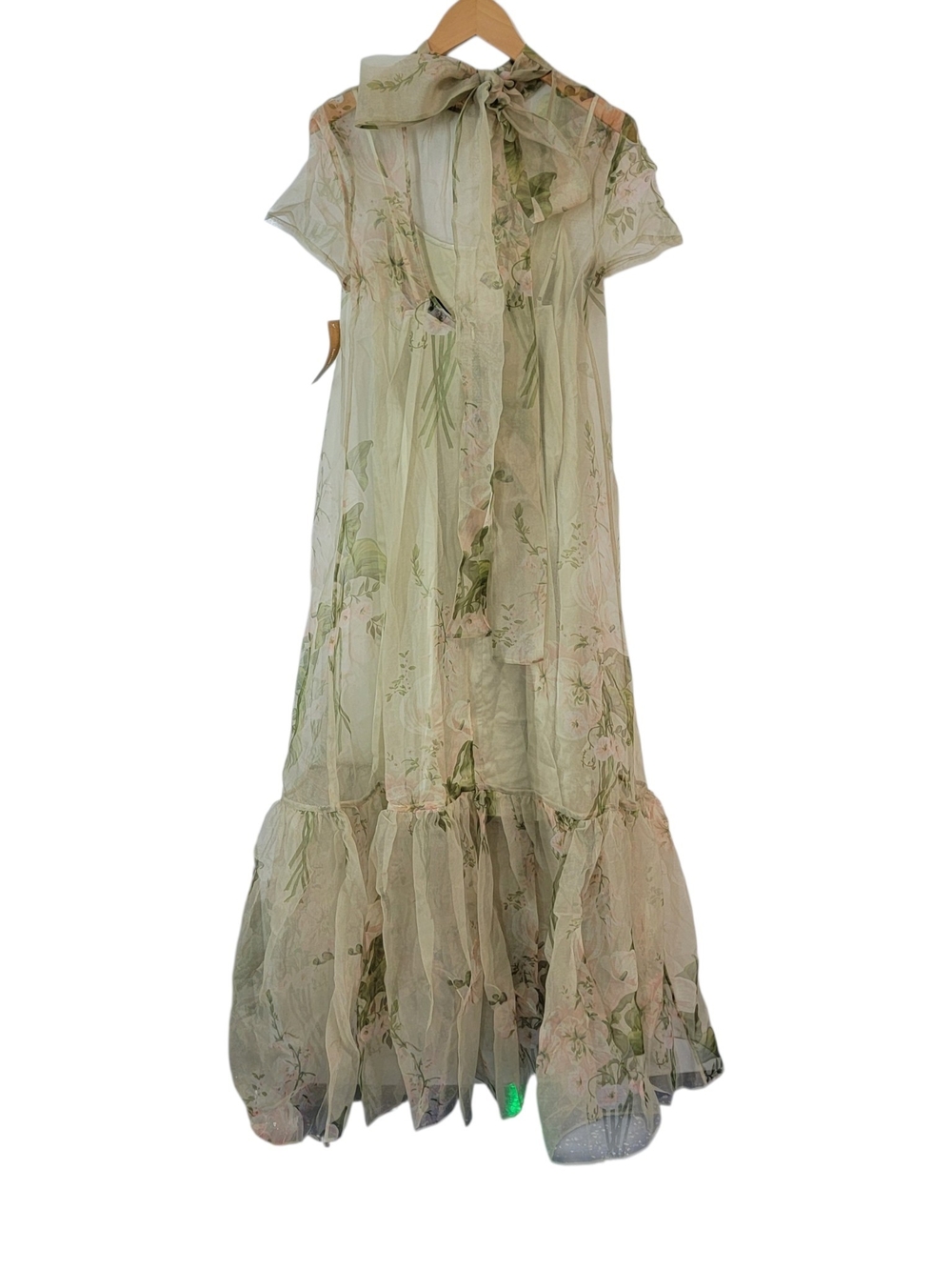 Few Moda Caara Sheer Floral Maxi Dress in Sage Green - Picture 7 of 10